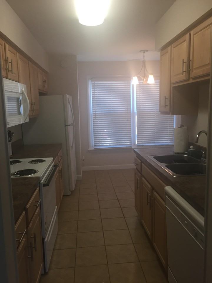 4335 Stafford Dr - Photo 3 of 12