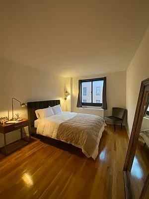 Mott St #8N - Photo 4 of 15