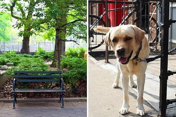 Essex St #18 - Photo 7 of 20