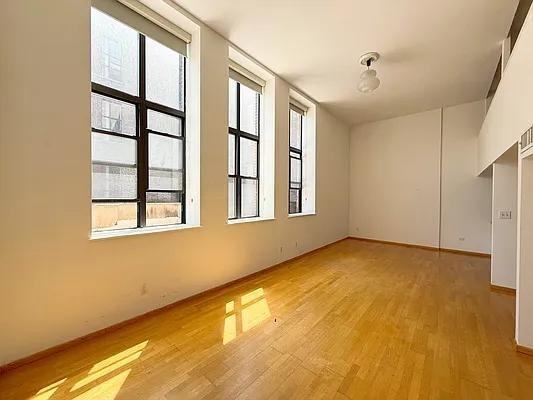 Madison St #221 - Photo 5 of 18