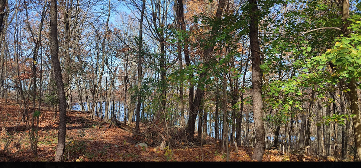 38 Roe Pl #NA - Photo 3 of 15