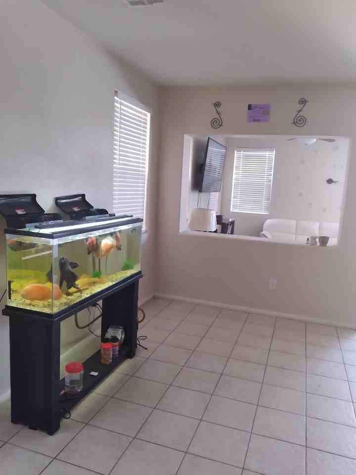 Buteo Ln - Photo 2 of 13