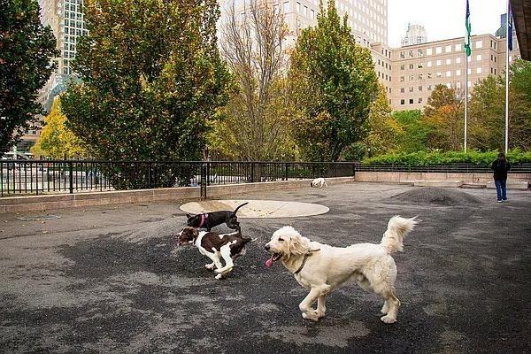 S End Ave #16K - Photo 6 of 15