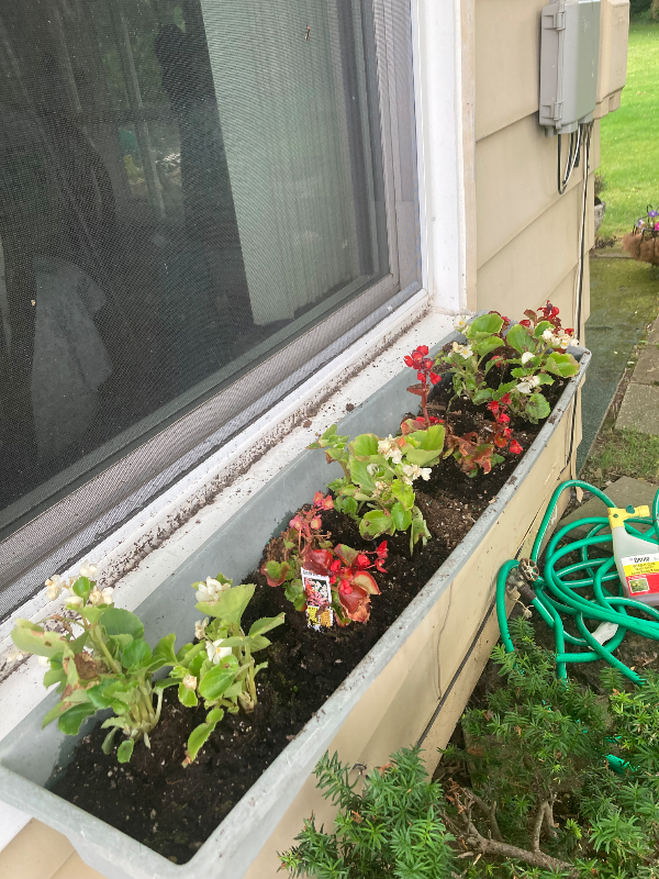 2131 Buena Vista Dr - Photo 2 of 6