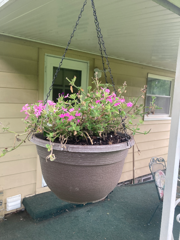 2131 Buena Vista Dr - Photo 3 of 6