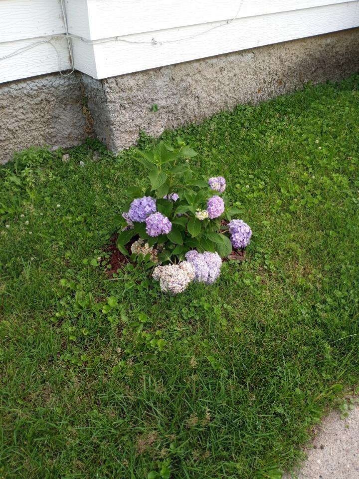 527 1st Ave E_527 - Photo 4 of 6