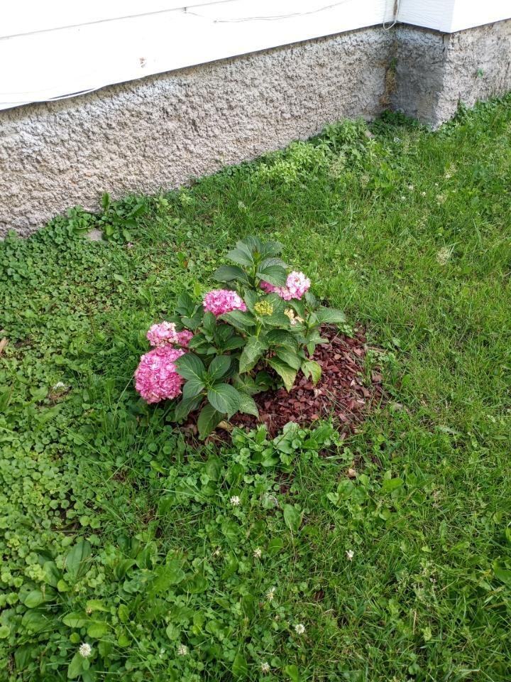 527 1st Ave E_527 - Photo 5 of 6