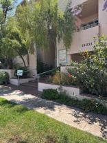 Corsican Apartments - Photo 1 of 1