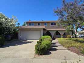 1413 Calle Alegre - Photo 1 of 1