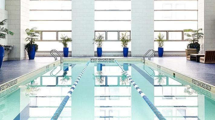 Gold St #1802 - Photo 4 of 19