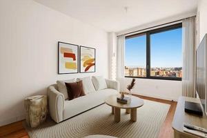 featured image of Noll St #511