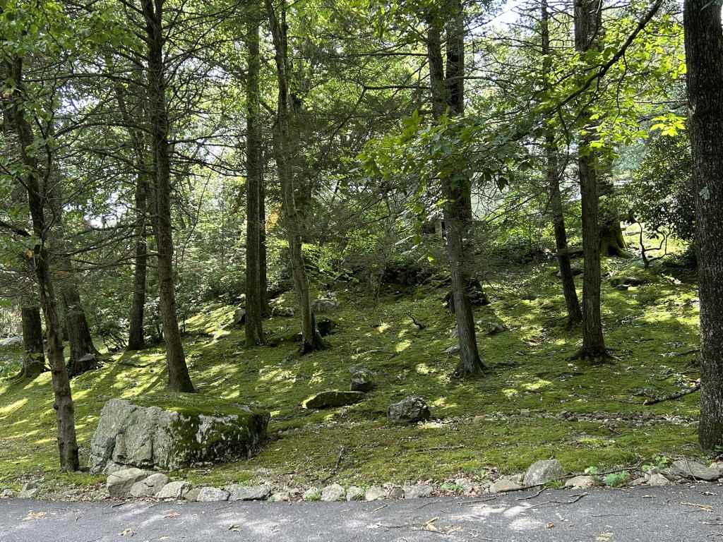 89 Florida Hill Rd #CD - Photo 4 of 20