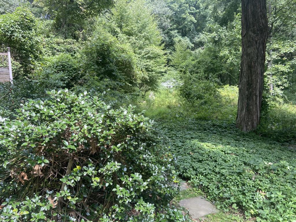 89 Florida Hill Rd #CD - Photo 6 of 20