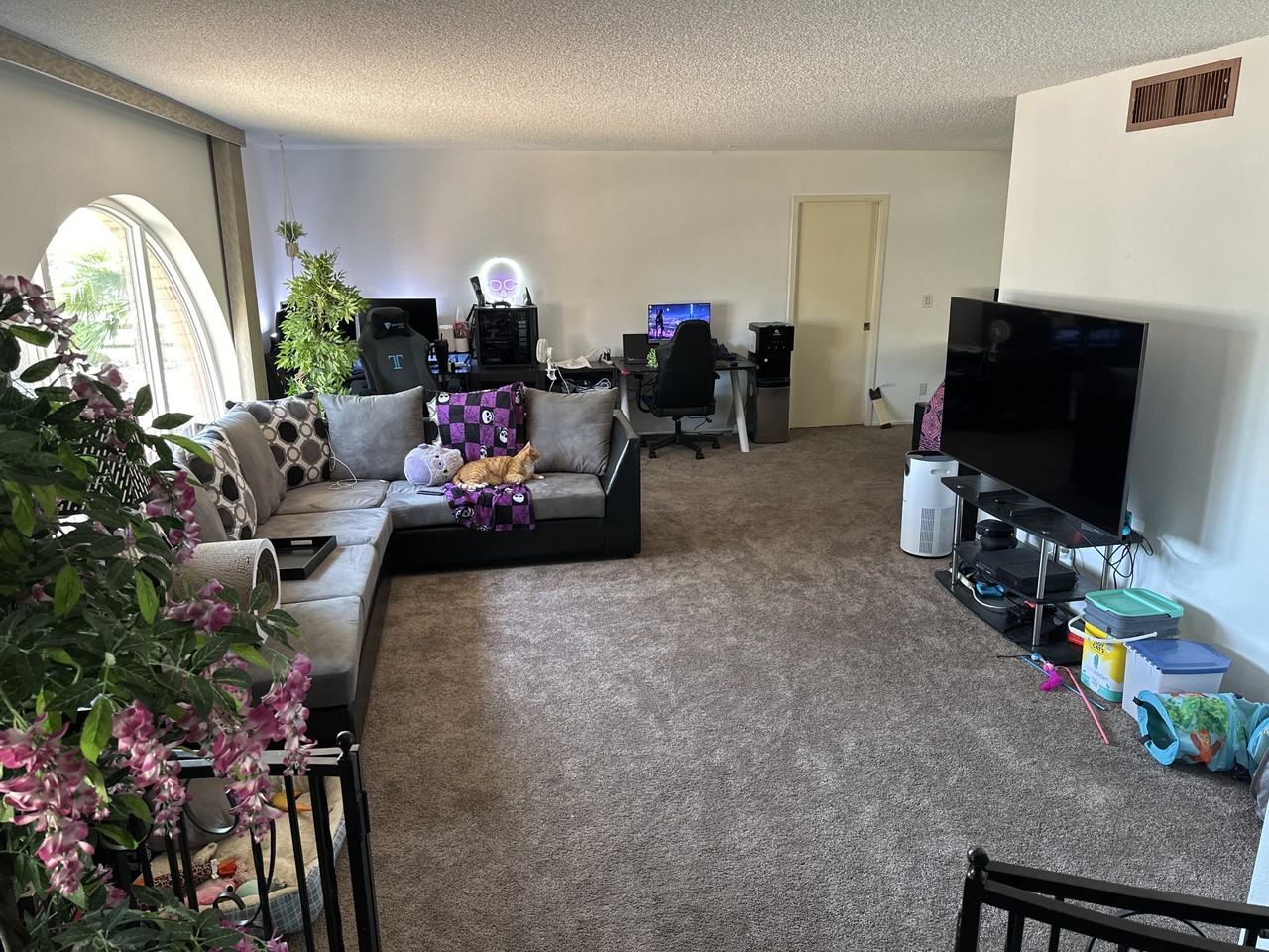 5250 W Harmont Dr #NA - Photo 3 of 12