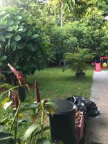 266 East 12th Street #0 - Photo 1 of 1