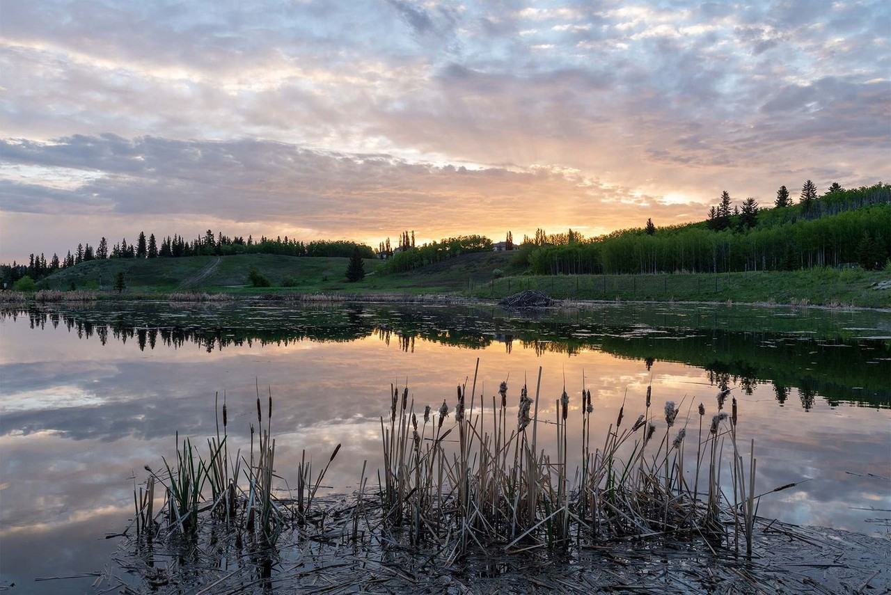 31 Cranfield Manor Se #1269721P - Photo 4 of 16