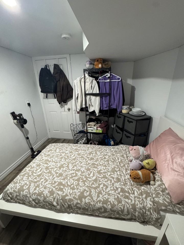 Downtown Bedroom with Ensuite Bathroom in Harbord Village for RENT - Photo 6 of 12