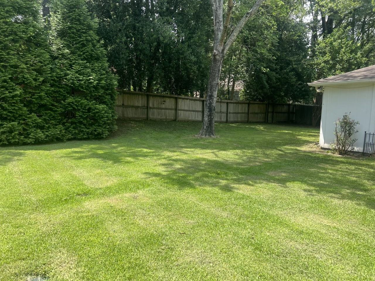 2159 New Meadow Dr - Photo 6 of 28