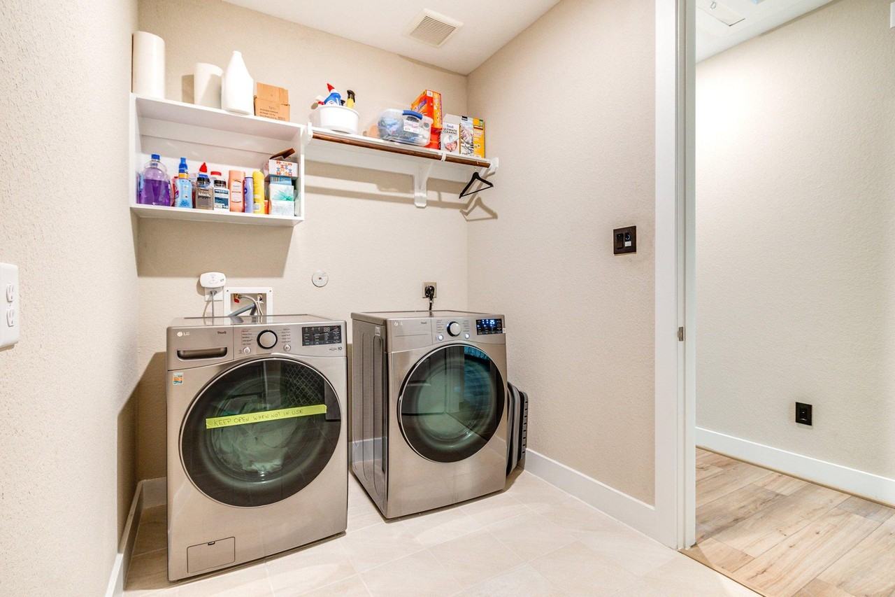 Pond Apple - Photo 2 of 8