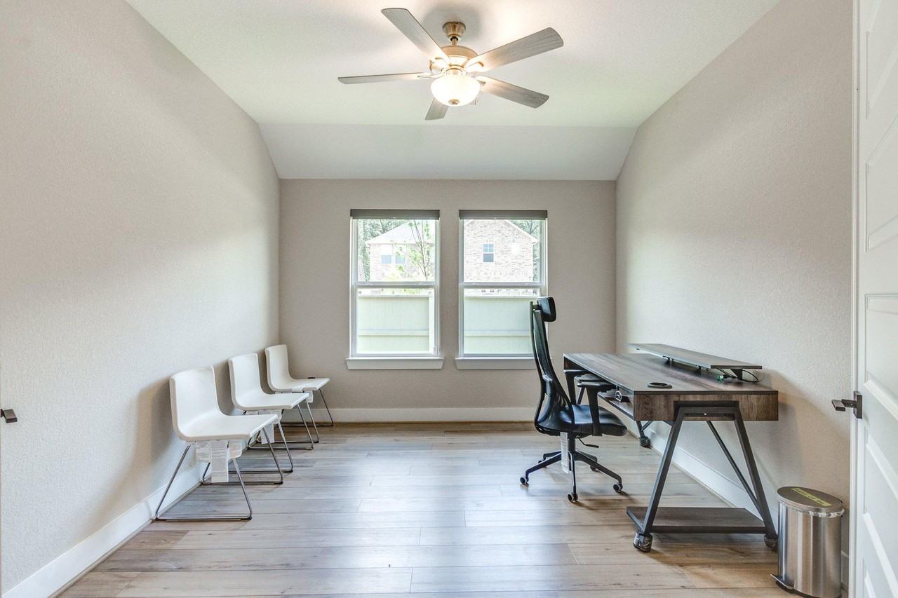 Pond Apple - Photo 6 of 8