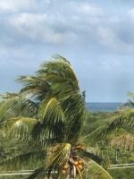 featured image of 275 Palm Ave #C503