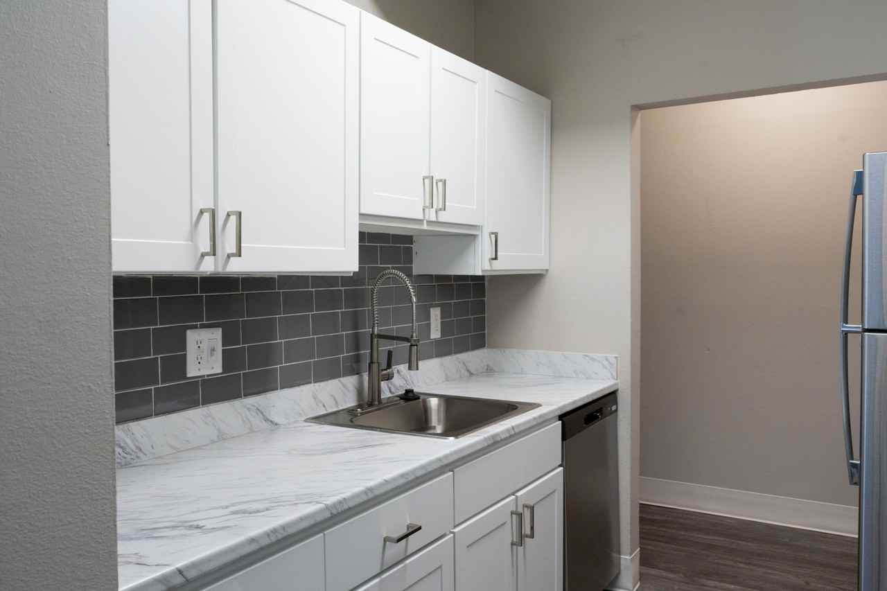 Raven - Photo 2 of 8