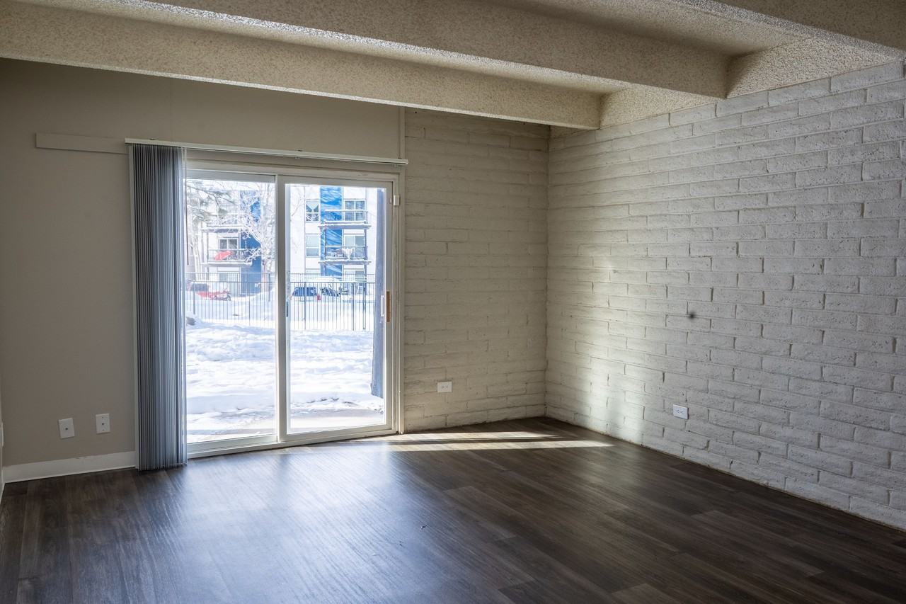 Raven - Photo 3 of 8