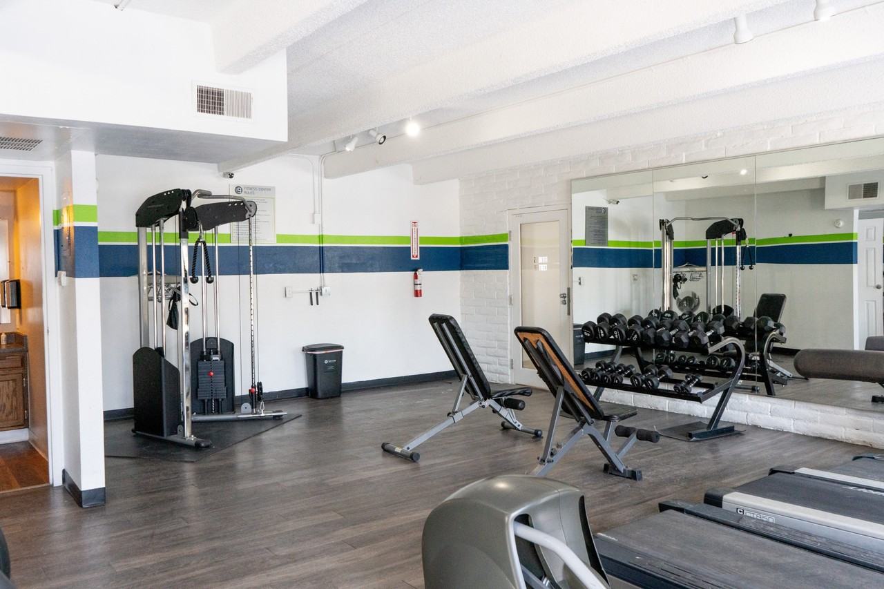 Raven - Photo 4 of 8