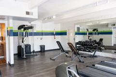 Raven - Photo 1 of 1