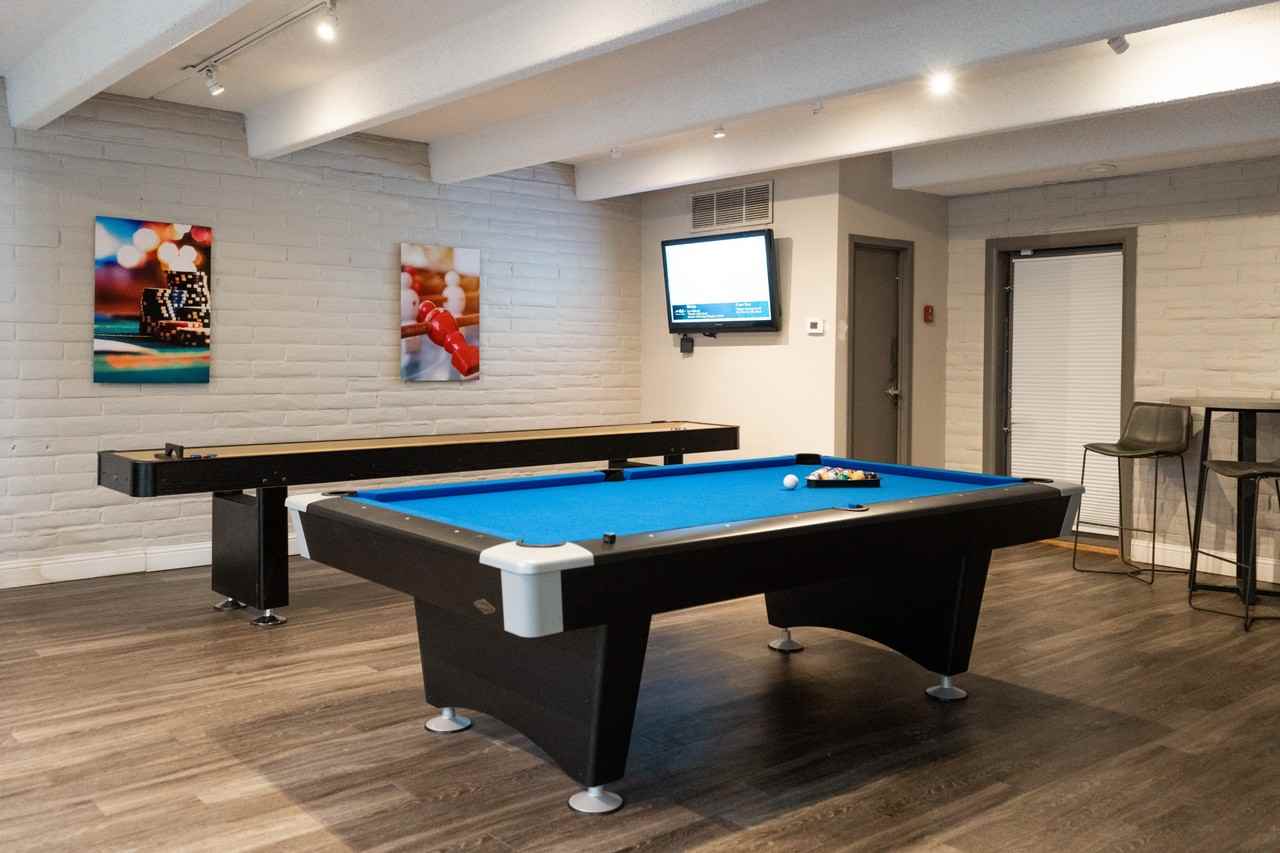 Raven - Photo 5 of 8