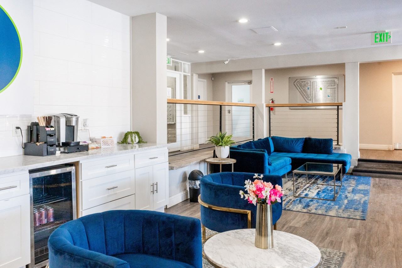 Raven - Photo 5 of 38