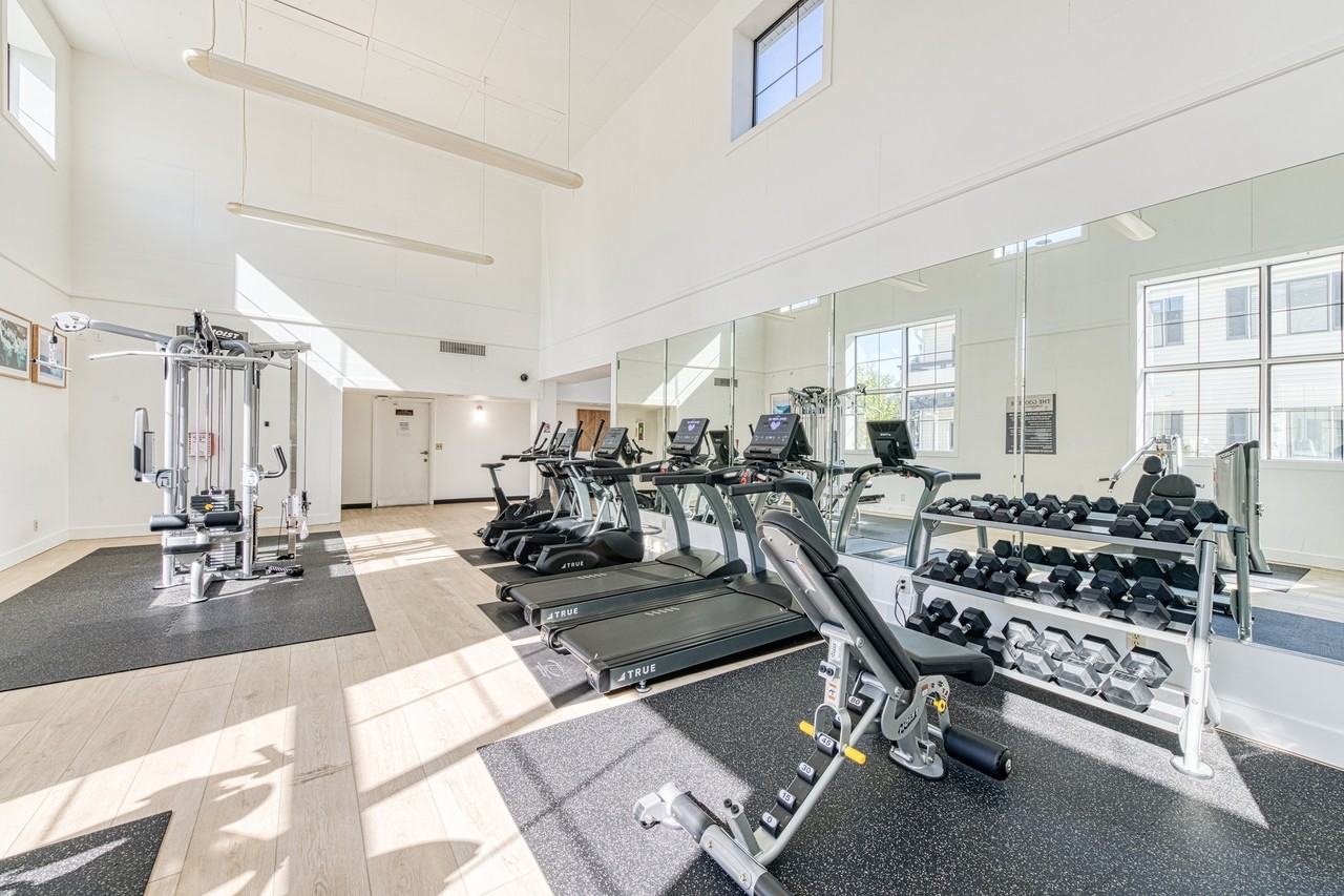 The Goose Apartments - Photo 4 of 20