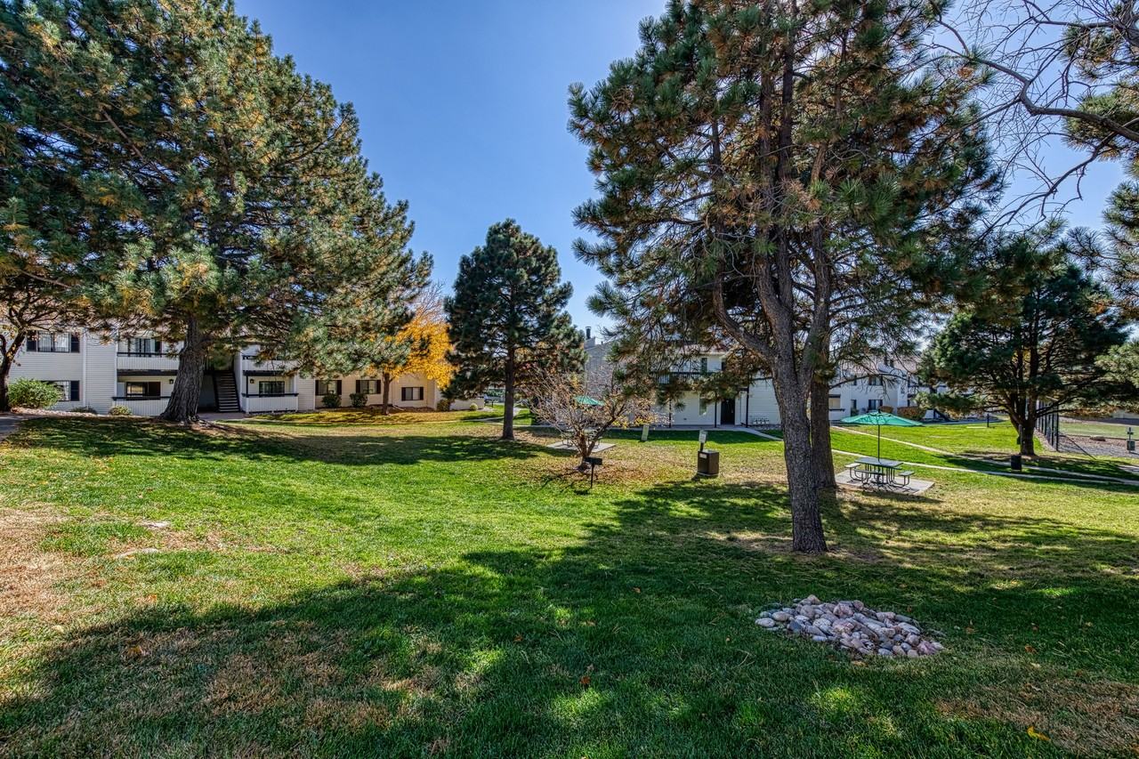 The Goose Apartments - Photo 6 of 20