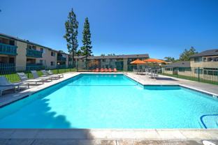 Coral Tree Apartments - Photo 1 of 1