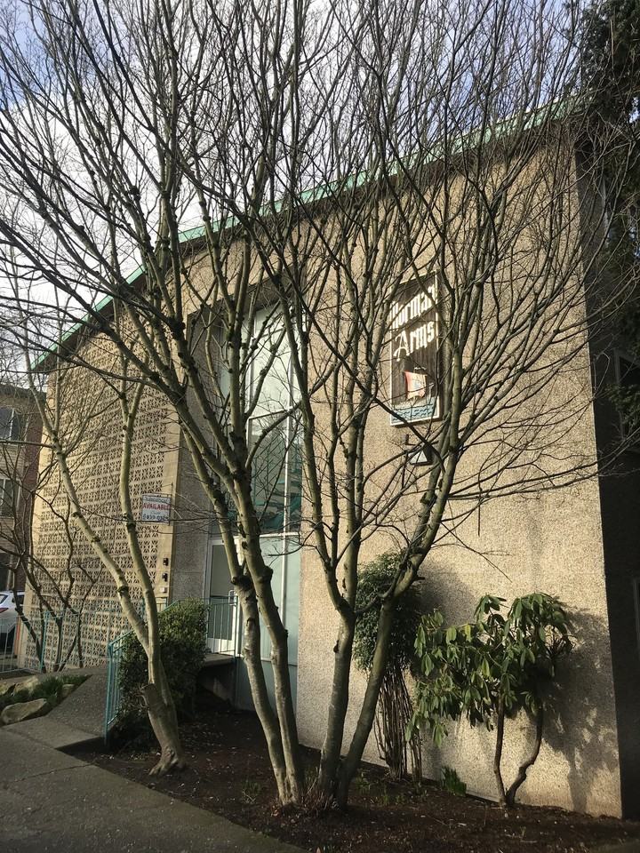 Norman Arms Apartments - Photo 4 of 29