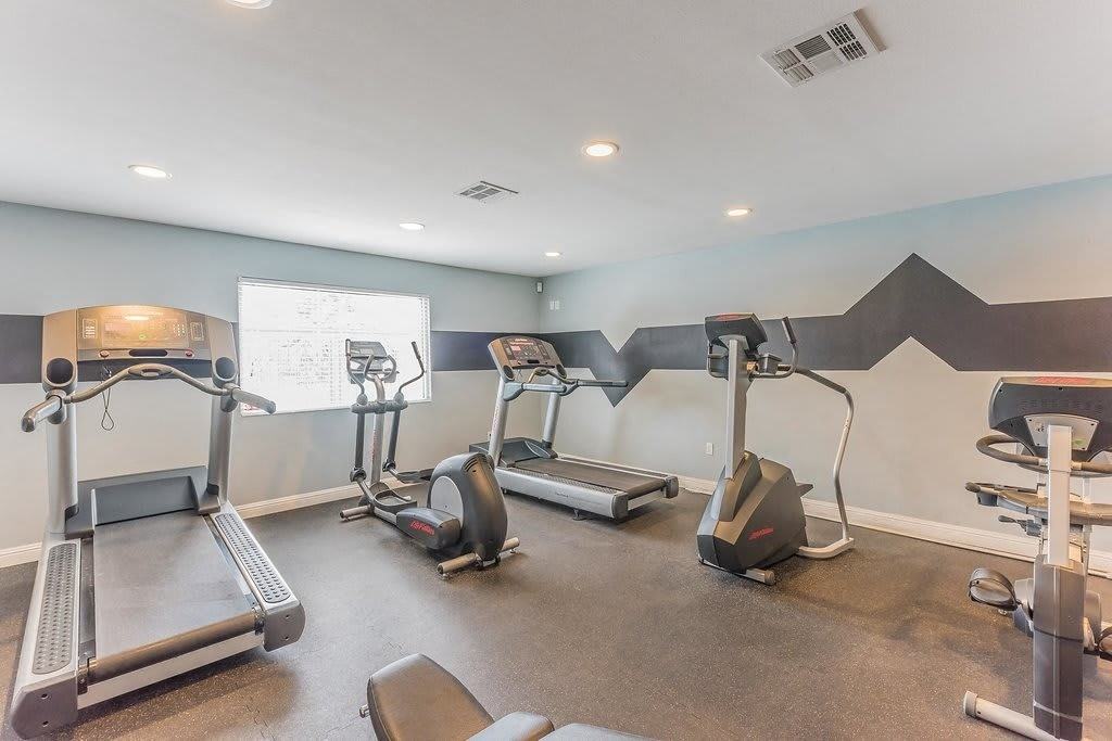 University Gardens - Photo 3 of 21