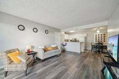 Siena - Photo 1 of 1