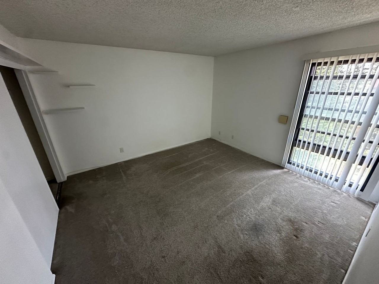 7742 Redlands St - Photo 3 of 20