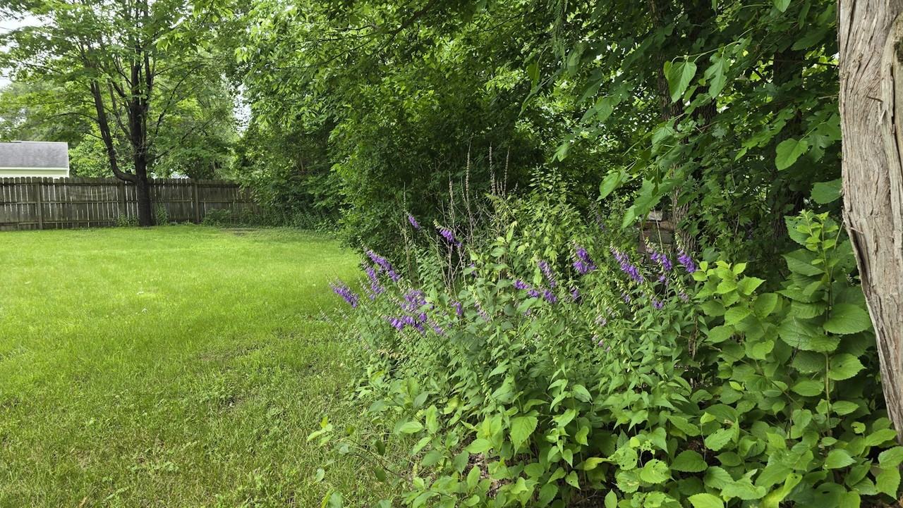 431 9th Street North - Photo 6 of 15