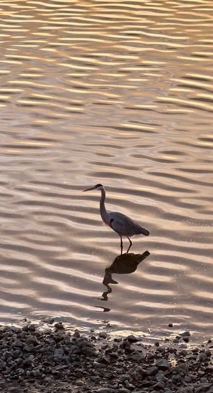 975 S Highway 1 ##A - Photo 6 of 11