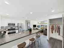 &Pico - Photo 1 of 1