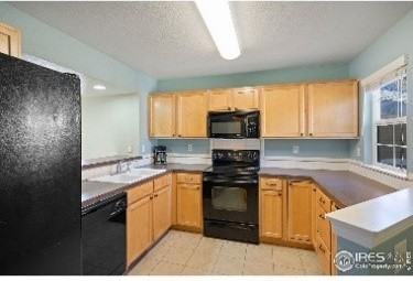 1009 Andrews Peak Dr #103B - Photo 5 of 9