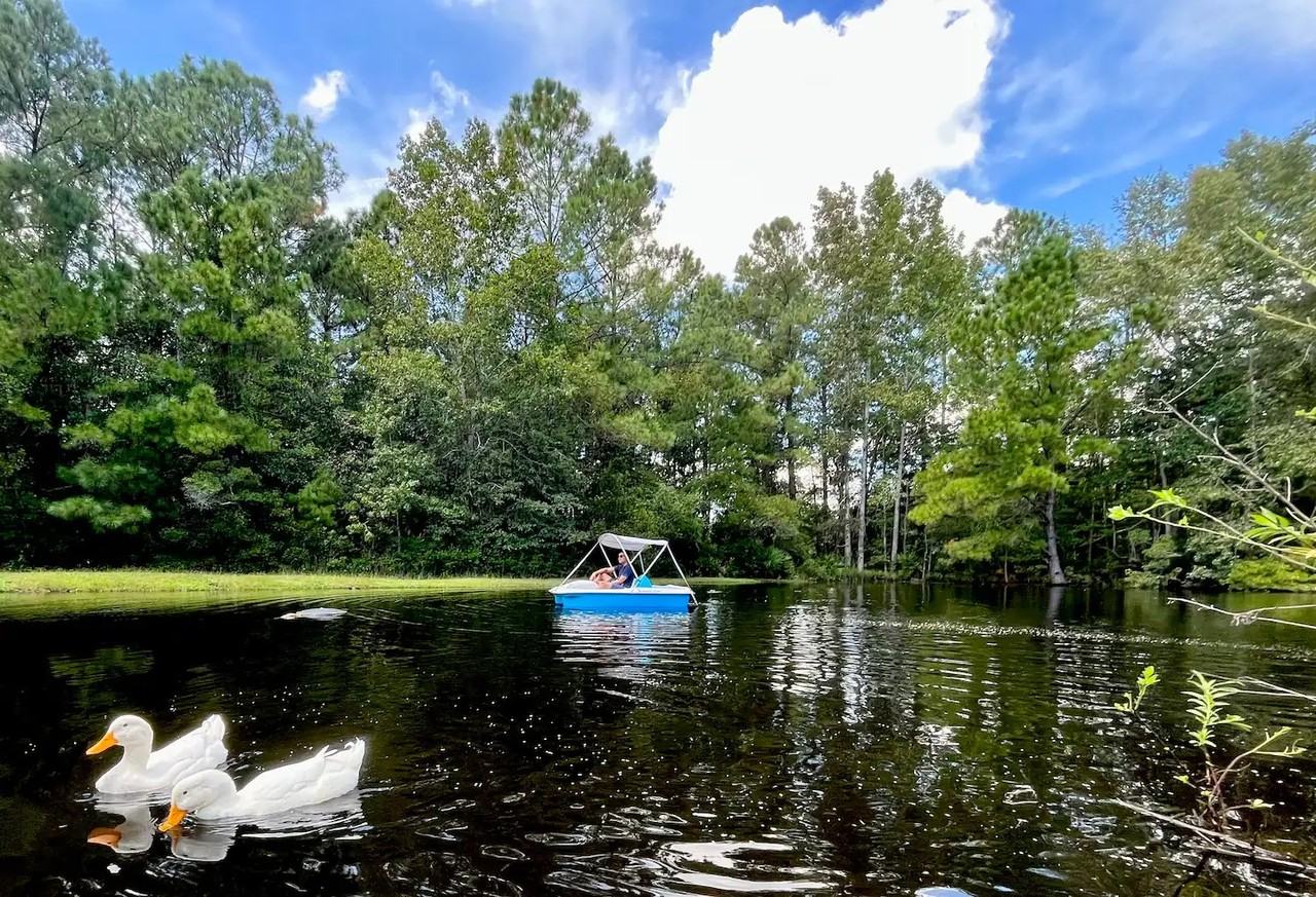 351 Buck Swamp Rd #NA - Photo 2 of 28