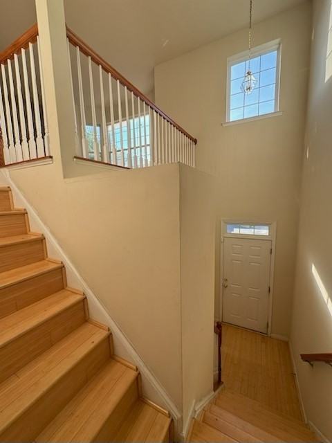 7630 Audubon Meadow Way #7630 - Photo 2 of 19