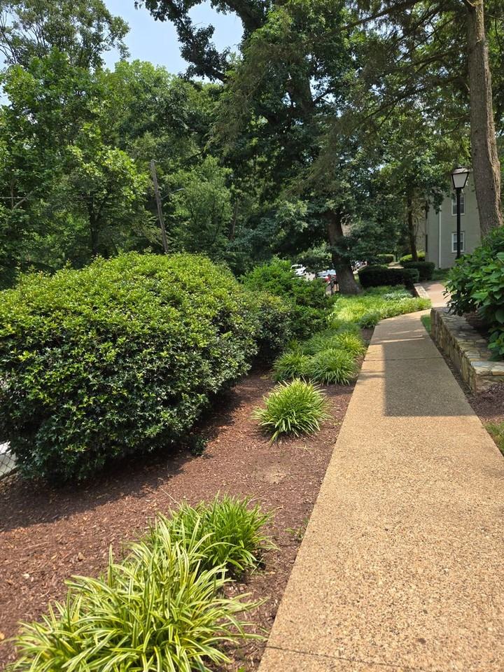 808 S Arlington Mill Dr #303 - Photo 5 of 14