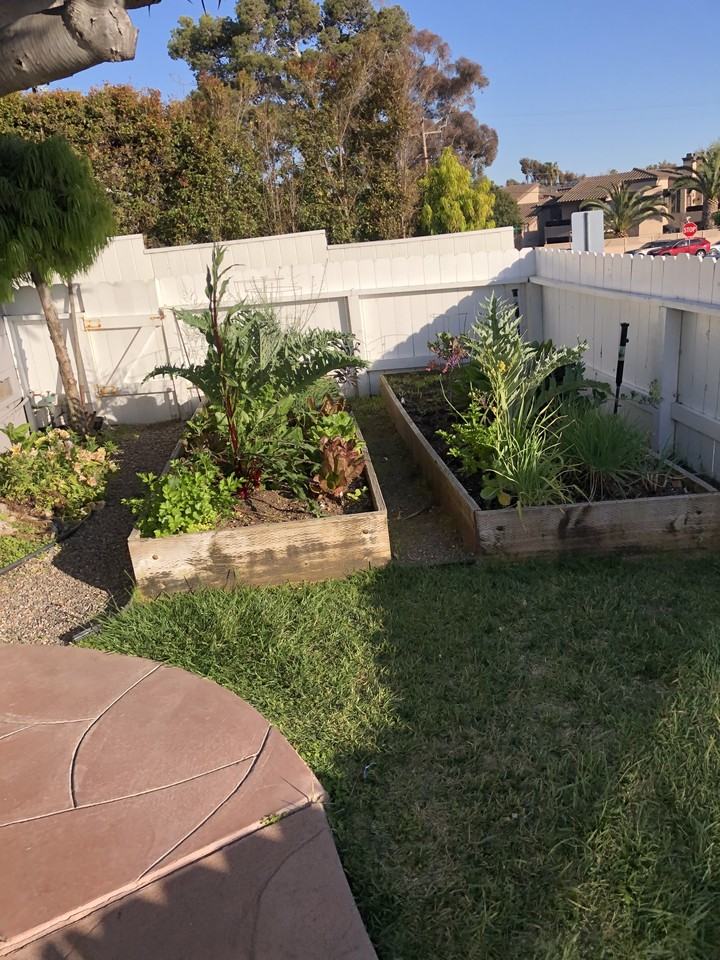 1464 Glenneyre Street 1 - Photo 3 of 9