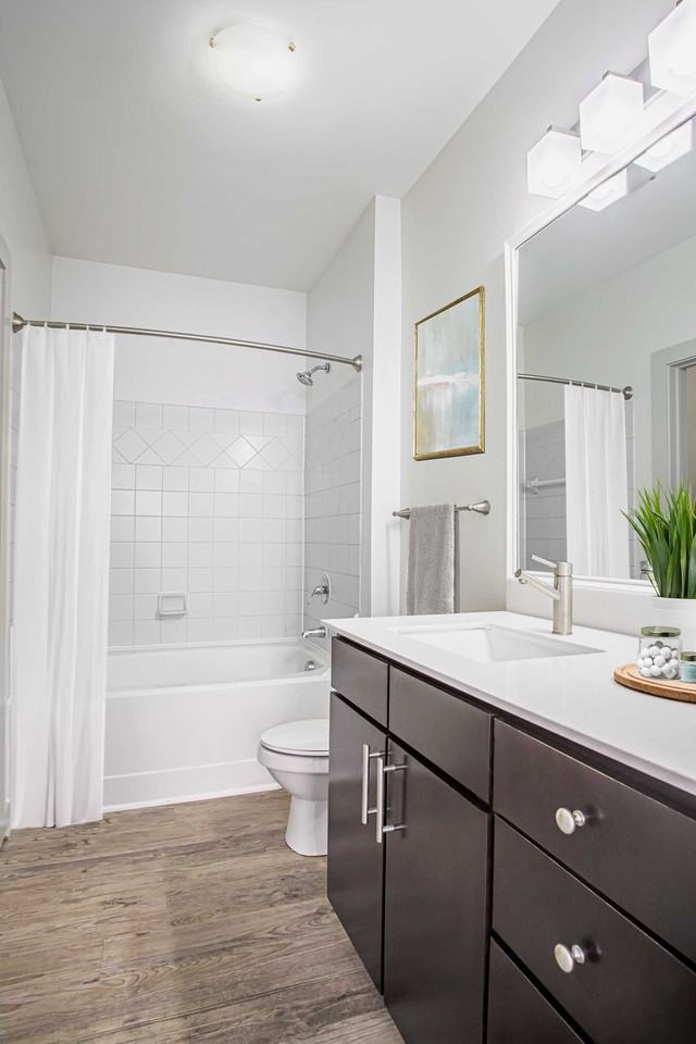 Gramercy Square at Ayrsley - Photo 7 of 20