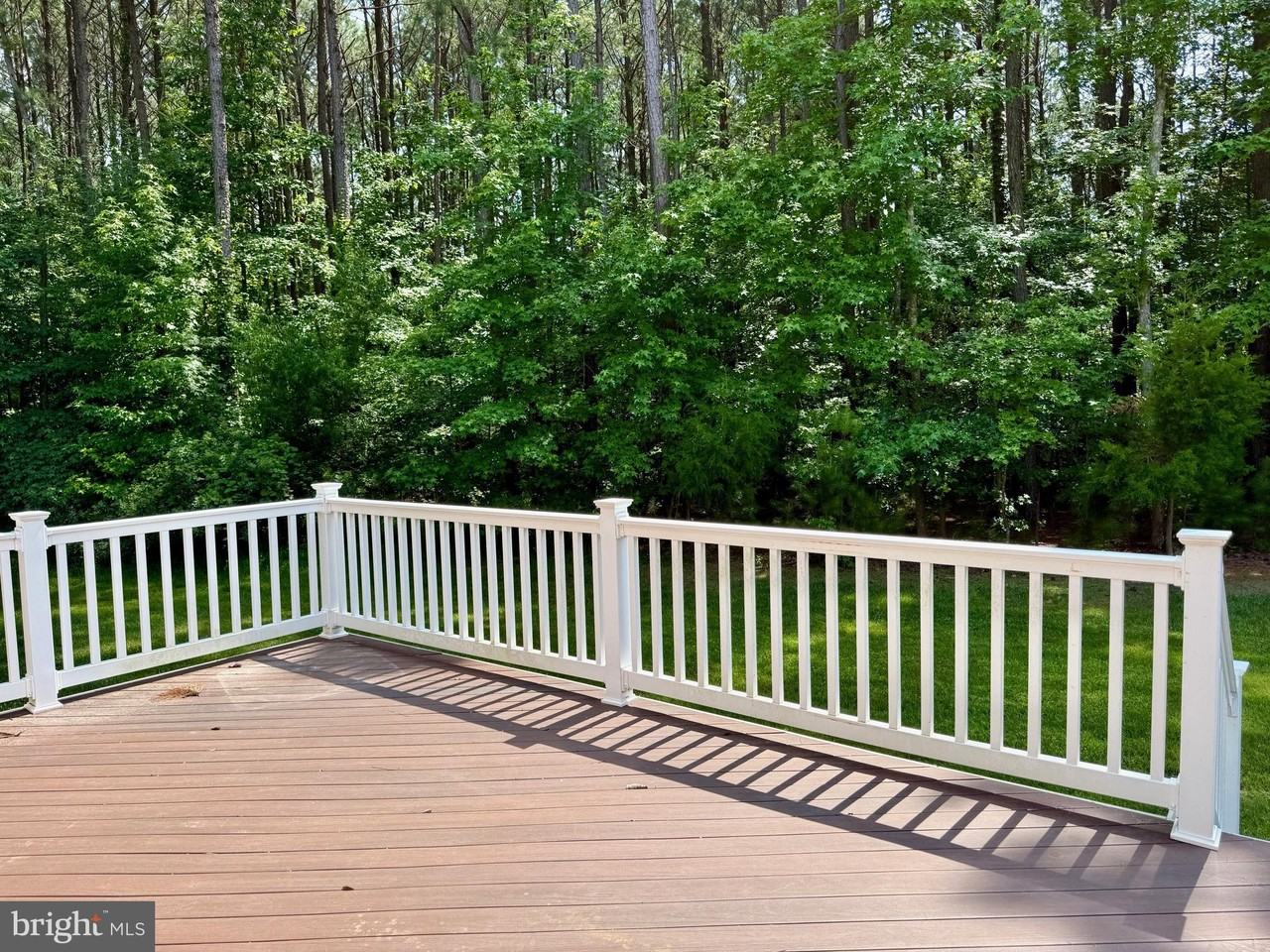 45325 Morgan Point Ln - Photo 3 of 28