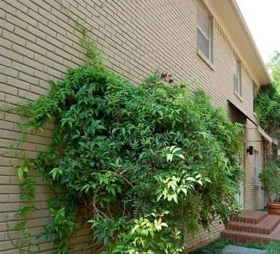 McFarlin - Photo 3 of 4