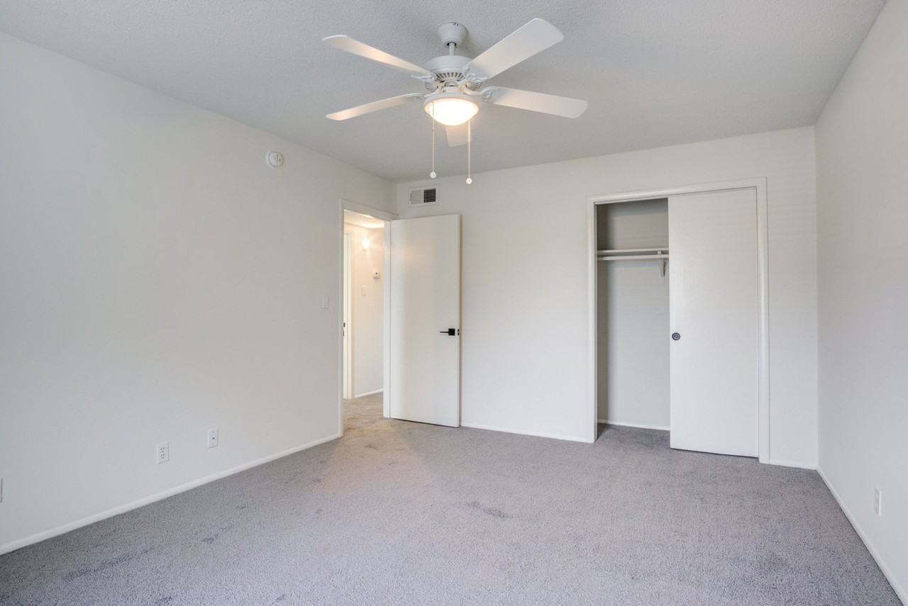 Palmetto Square - Photo 5 of 22